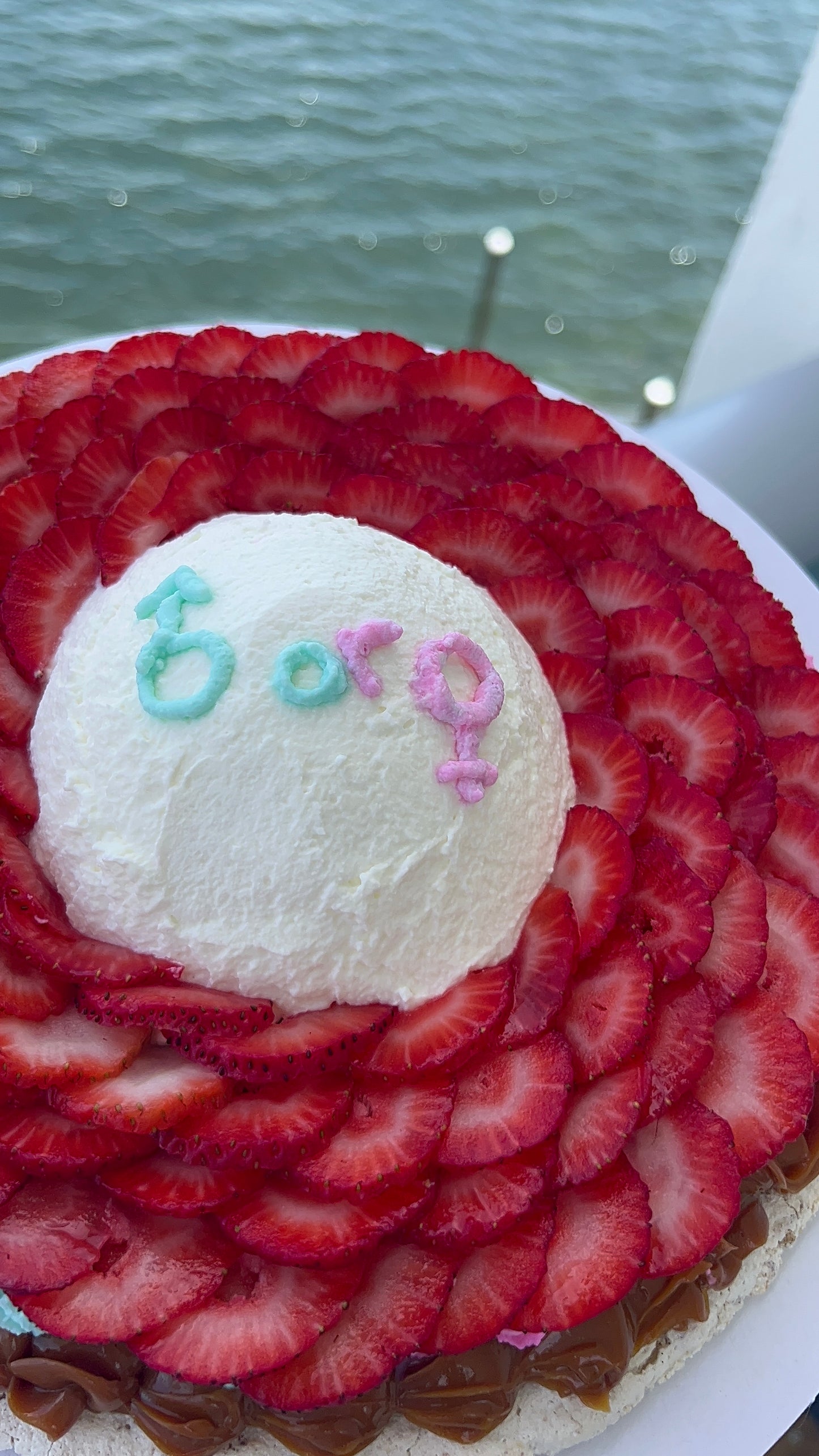 Gender Reveal Pavlova