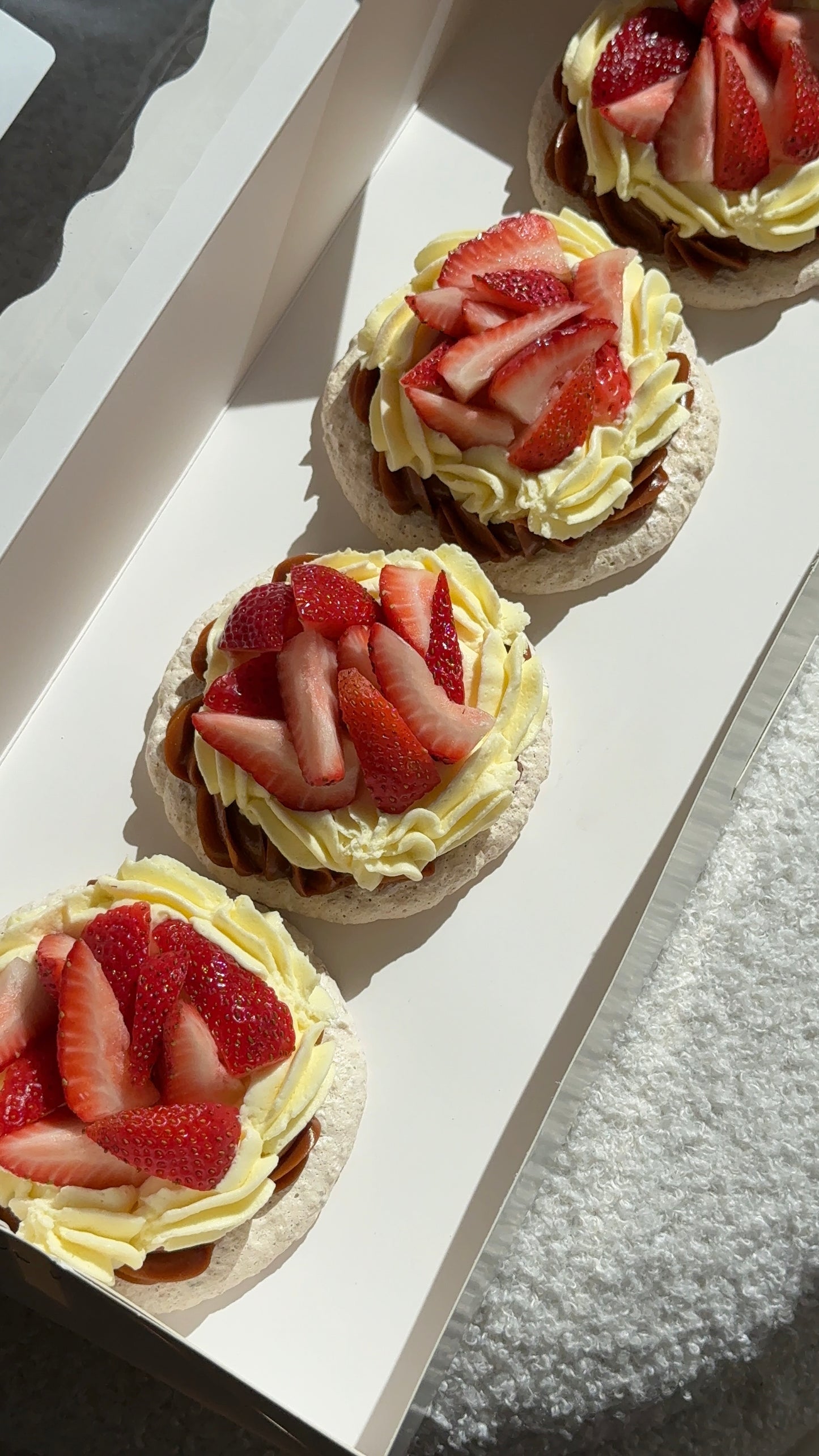 Personal Pavlova